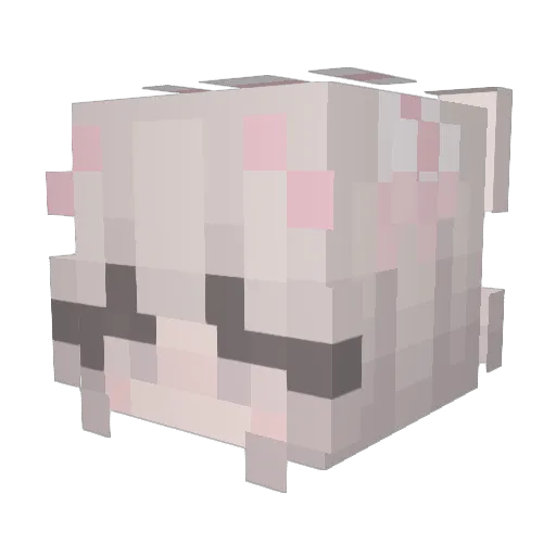 POPOTW Minecraft avatar head, 3D render