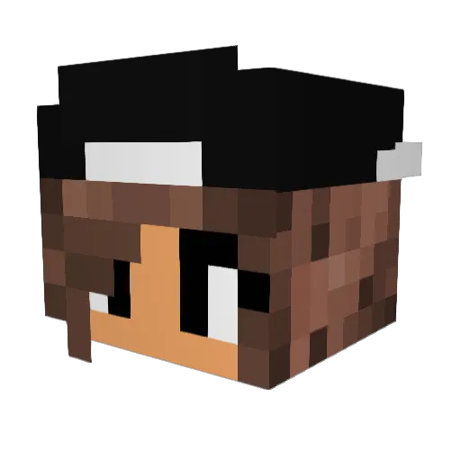 POPPYMINER25 Minecraft avatar head, 3D render