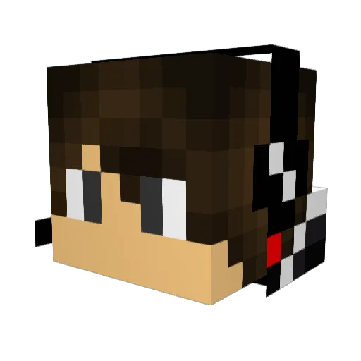 PORKY9000 Minecraft avatar head, 3D render