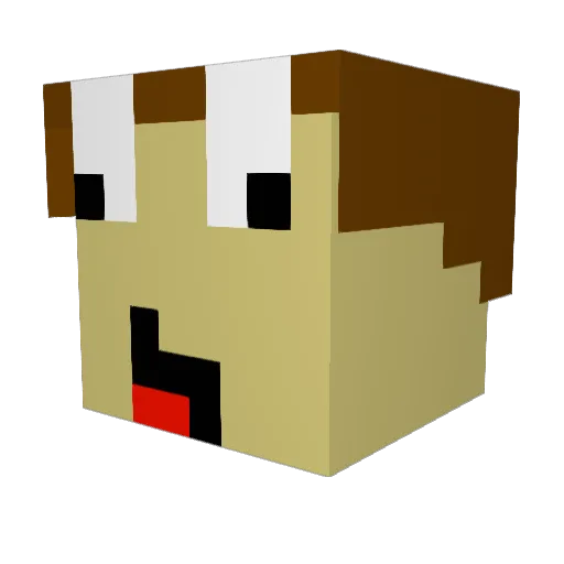 POTATERTOTS1 Minecraft avatar head, 3D render