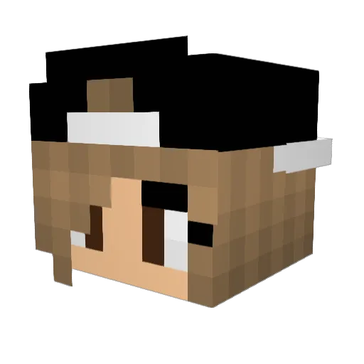 POTATO_FIASCO Minecraft avatar head, 3D render