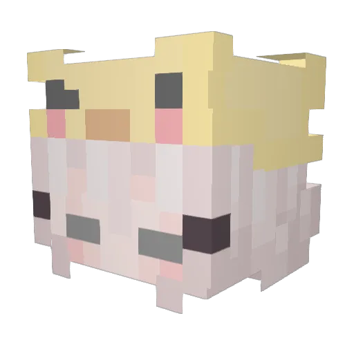 POTECO00 Minecraft avatar head, 3D render