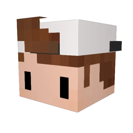 POTTERH0 Minecraft avatar head, 3D render