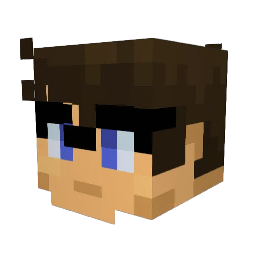 POs_Nuts Minecraft avatar head, 3D render