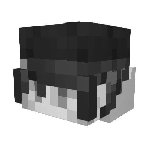 PP0lar Minecraft avatar head, 3D render