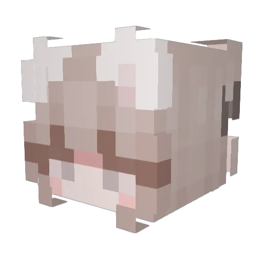 PP4WO Minecraft avatar head, 3D render