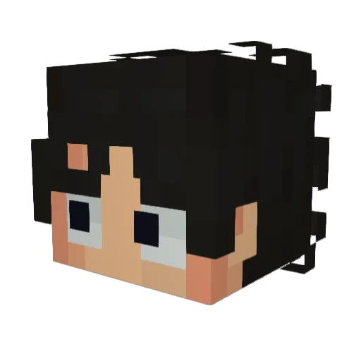 PPANGJUG Minecraft avatar head, 3D render