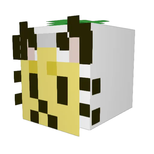 PPIslandResident Minecraft avatar head, 3D render