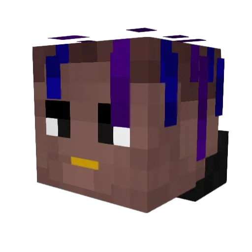 PPOOR Minecraft avatar head, 3D render