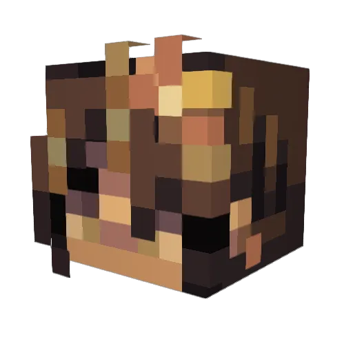 PPPLUTO_ Minecraft avatar head, 3D render
