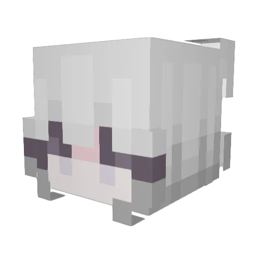 PPPP_SSR_6 Minecraft avatar head, 3D render
