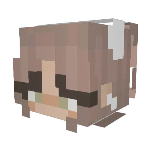 PPRYAS Minecraft avatar head, 3D render