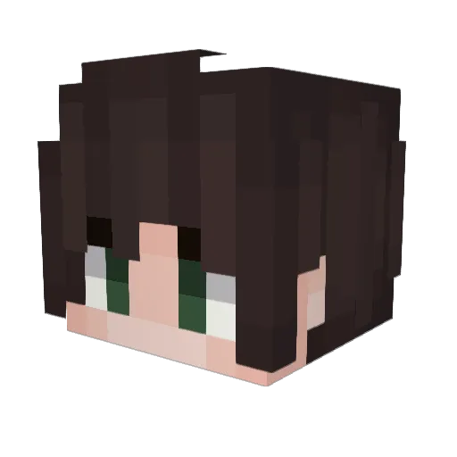 PPWY Minecraft avatar head, 3D render