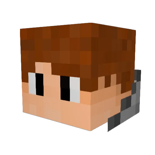 PP_9 Minecraft avatar head, 3D render