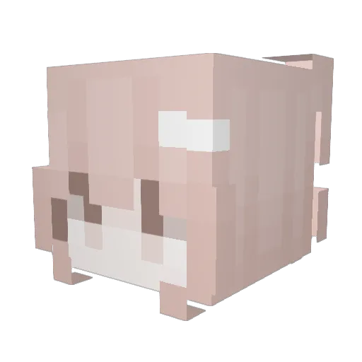 PP_Xiong Minecraft avatar head, 3D render