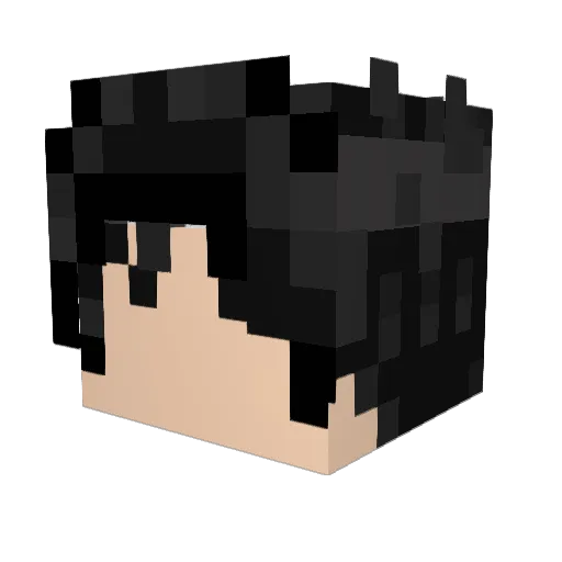 PPainGG Minecraft avatar head, 3D render