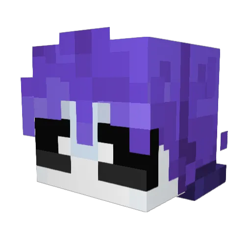 PPaketik Minecraft avatar head, 3D render