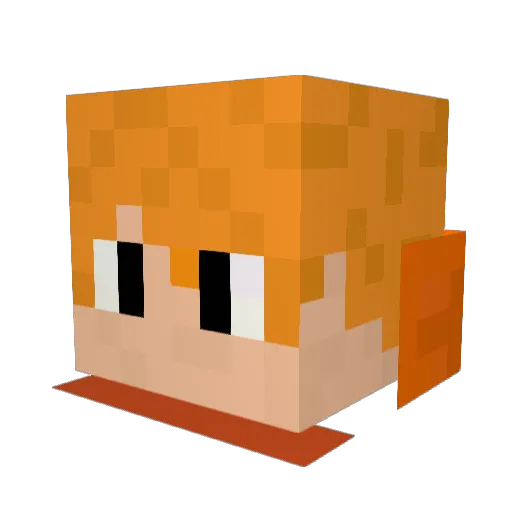 PPakku Minecraft avatar head, 3D render