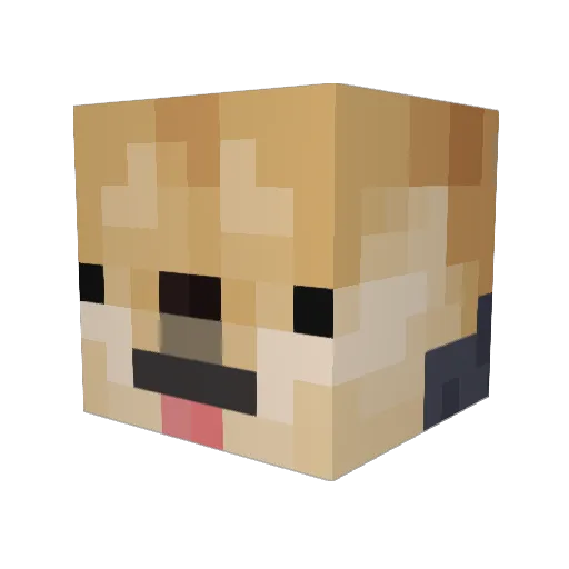 PPatrick Minecraft avatar head, 3D render