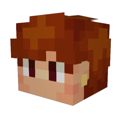 PPfaff722 Minecraft avatar head, 3D render