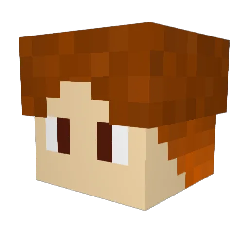 PPfr89 Minecraft avatar head, 3D render