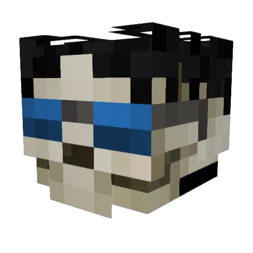 PPiTT0000 Minecraft avatar head, 3D render