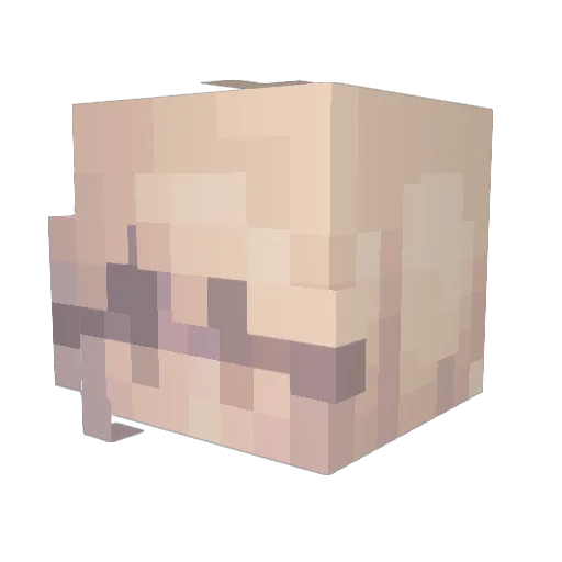 PPjn Minecraft avatar head, 3D render