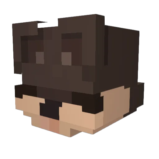 PProblem Minecraft avatar head, 3D render