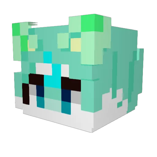 PPt_SaMa Minecraft avatar head, 3D render