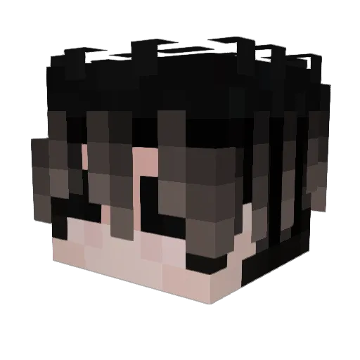 PPunn Minecraft avatar head, 3D render