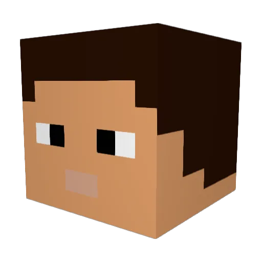PR0FETA Minecraft avatar head, 3D render