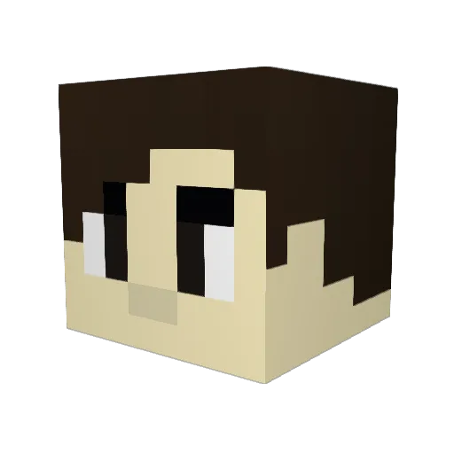 PRDarkside Minecraft avatar head, 3D render