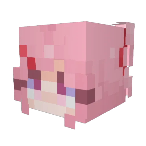 PRDev Minecraft avatar head, 3D render