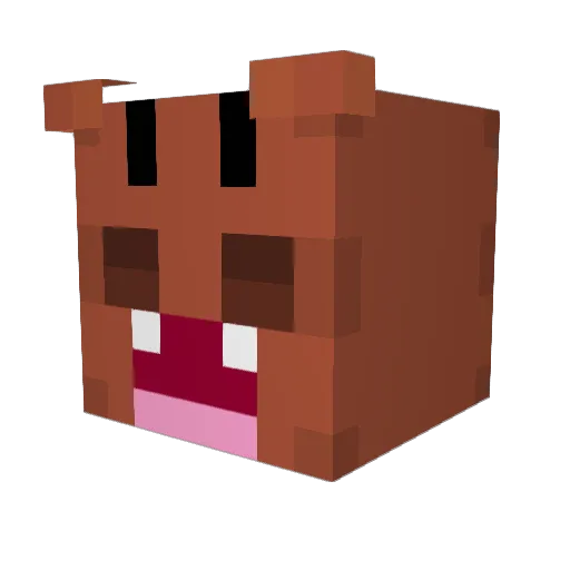 PREMIUM_DOLPHIN Minecraft avatar head, 3D render