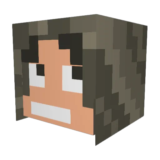 PRESIDENT_JERRY Minecraft avatar head, 3D render
