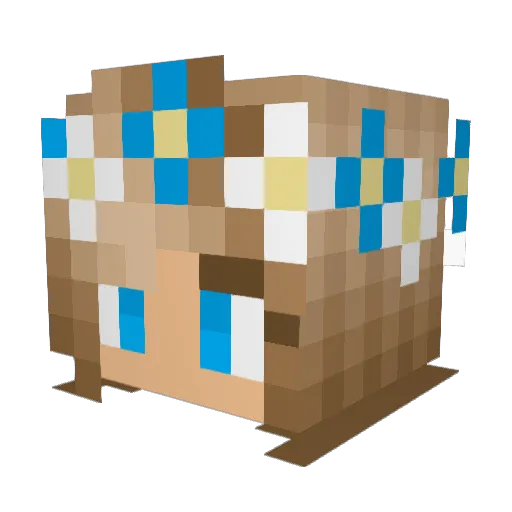 PRINCESSPARKER9 Minecraft avatar head, 3D render