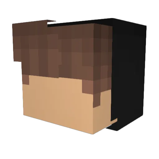 PRIZfromDouble Minecraft avatar head, 3D render