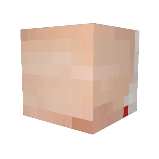PROAKSEL Minecraft avatar head, 3D render