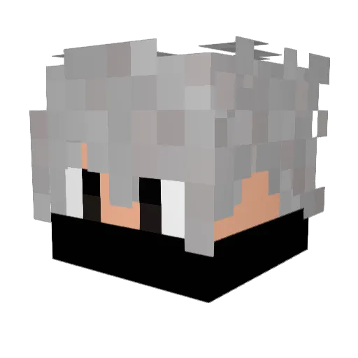 PROBLANS Minecraft avatar head, 3D render