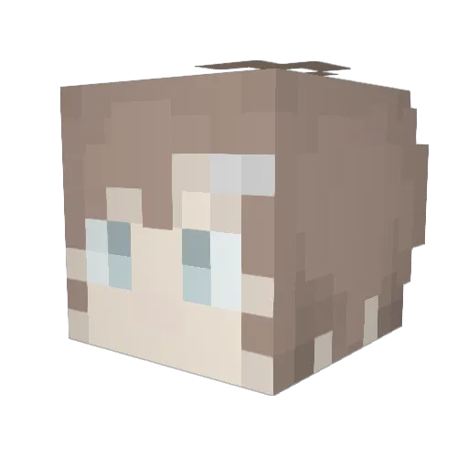 PROD_Ten Minecraft avatar head, 3D render