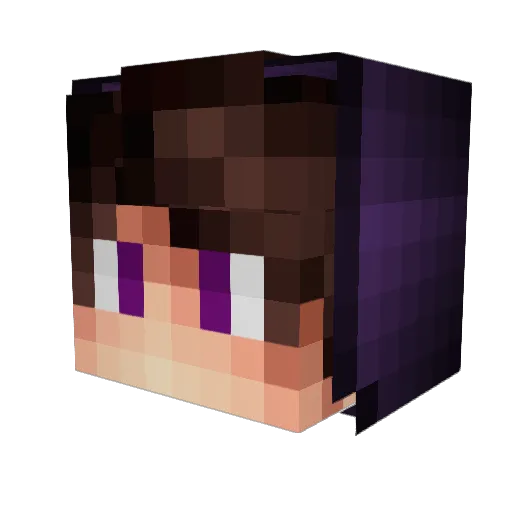 PROF1S_ Minecraft avatar head, 3D render