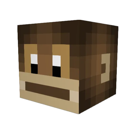 PROFITZEBO Minecraft avatar head, 3D render