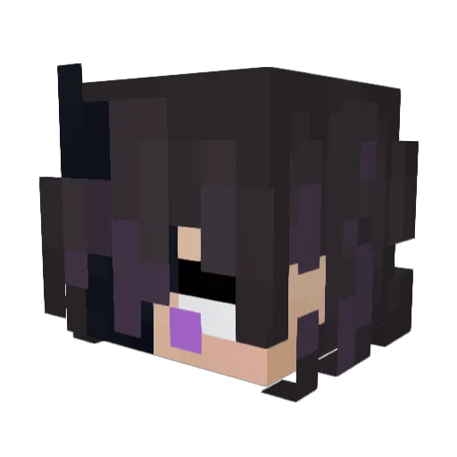 PROXIM_282 Minecraft avatar head, 3D render