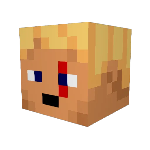 PRO_EXPLORER_77 Minecraft avatar head, 3D render