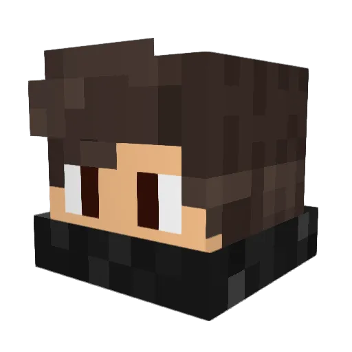 PRO_GAMER_228 Minecraft avatar head, 3D render