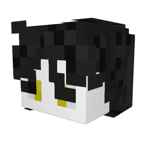 PRS_LiFe Minecraft avatar head, 3D render