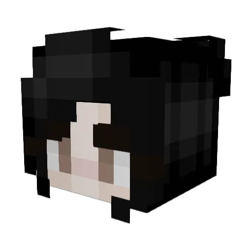 PRVIDER Minecraft avatar head, 3D render
