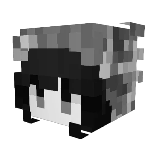 PRX_RuNa Minecraft avatar head, 3D render
