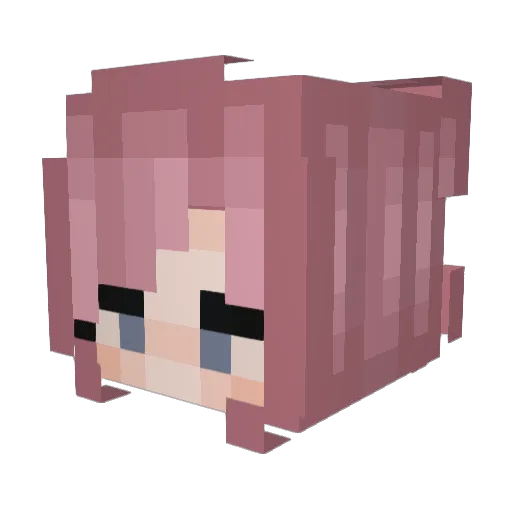 PRaDo1571 Minecraft avatar head, 3D render