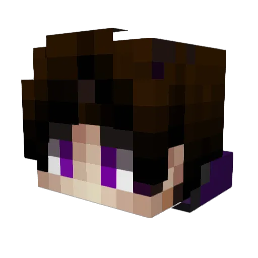 PRabi659 Minecraft avatar head, 3D render